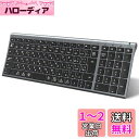 iClever キーボード Bluetooth ワイヤレス キーボード 無線 日本語JIS配列 3台同時接続可能 テンキー付き フルサイズ 超薄型 キーボード 静音設計 Type-C充電式 コンパクト パソコン用 ラップトップ PC iPad スマホ用 Windows Mac iOS Android対応 IC-BK22 グレーブラッ