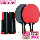 JEBOR 卓球ネット セット 卓球 ラケット 卓球台 (ラケット×2本 伸縮ネット ボール×3個) ハンドバッグ き アウトドア レジャー 職場で