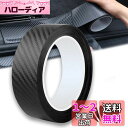 AUTOYUZU 5CM*5M 車用ドアフィルム プロテクターフィルム プロテクションフィルム ボディ保護フィルム サイドステップガード スカッフプレート バン...