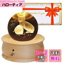 【2023最新正規品】オルゴール クリスマス ギフト スノードーム 誕生日プレゼント 女性 クリスタル ボール 猫&毛糸団 スノードーム 月のランプ LEDライト 1200mAhバッテリー 間接照明 投影機能 360度自動回転 雰囲気作り オシャレ 癒しグッズ インテリア雑貨 置物 新年