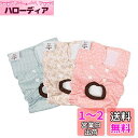 CuteBone 犬 おむつカバー 布 ミス 生理 パンツ 雌犬 お出掛け 散歩便利 3枚セット 中小型犬用 D16XS-JP