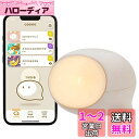 coemo ( コエモ ) 【日本おもちゃ大賞2022 エデュケーショナル・トイ部門 大賞】 こえも プラスチック