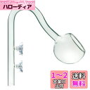 RedBeryl アクアリウム リリーパイプ ポピーパイプ ガラスパイプ 水槽 フィルター (ポピー パイプ 16/22mm)