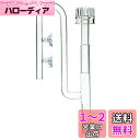 RedBeryl アクアリウム リリーパイプ ポピーパイプ ガラスパイプ 水槽 フィルター (サーフェーススキマー 16/22mm)