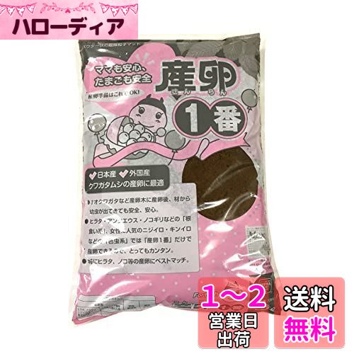 フォーテック 昆虫 [日本産・外国産クワガタムシ産卵用マット] 産卵1番【5リットル】
