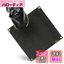 ZEN Camps 火消し袋 アッシュキャリー 炭処理袋 炭消し袋 炭袋 防水 自立 Ash Carry キャンプ 耐熱性 難燃性 コンパクト 大容量【日本ブランド】 (セット品(アッシュキャリーS & 焚き火シート50*50cm)