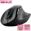 エレコム ワイヤレスマウス 静音 EX-G PRO Lサイズ Bluetooth 無線2.4GHz 両対応 充電式 8ボタン 高速スクロール チルトホイール 抗菌 ブラック M-XGL50MBSKBK(2)