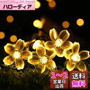 cshare ソーラー LED ストリングライト ガーデン ソーラーライト LED イルミネーションライト 50LED 7M IP65防水 8モード 夜間自動点灯 クリスマス/ハロウィン/パーティー/バレンタインデー/新年/祝日/結婚式/学園祭屋外/室外/室内/庭対応 ソーラーパネル 飾りライト LE