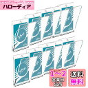 Ultimate Guard(アルティメットガード) Magnetic Card Case マグネットローダー 35pt×10個