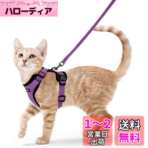 Rabbitgoo 猫 ハーネス リード セット 抜けない 猫用ハーネス ソフト軽量 犬猫兼用 超小型犬 小型犬 散歩 災害避難 はーねす りーど 足を上げず装着完成 サイズ調節可 夜反射 通気メッシュ 咳込み防止 胴輪 紐 ひも（パープル S）