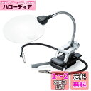 サンワダイレクト スタンドルーペ 拡大鏡 LEDライト付 クリップ対応 レンズ径11cm クリップ付アーム付属 400-LPE016