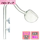 RedBeryl アクアリウム リリーパイプ ポピーパイプ ガラスパイプ 水槽 フィルター (ポピー パイプ 12/16mm)