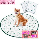 洗える ペットシーツ 丸型 八角形ペットサークルに最適 おしっこパッド 猫 犬用 多頭飼い ペット用 トイレ下敷きマット 速乾 脱臭 抗菌 滑り止め 大判サイズ(ホワイト 直径121cm 二枚セット)