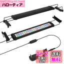 水槽 ライト タイマー付き LEDライト60個 四色 3つの照明モード 明るさ調整 水槽照明 アクアリウムライト 45-60cm水槽用 スライド式 防水 観賞魚飼育 水草育成 省エネ(ブラック, 11W)