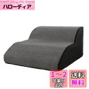 犬 階段 犬用踏み台 ペット用品 ペット階段 2/3段 犬用ステップ 小型犬 老犬介護 怪我防止 滑り止め 高密度フオーム 洗えるカバー 介護用 安全 耐久 心地よい (2段-A-Small)