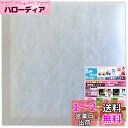 給気口フィルター 換気口フィルター 10枚入(150×150mm他サイズ多数有り)花粉 害虫 黄砂 (S150)