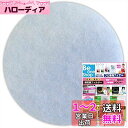 ビーワンショップ 給気口フィルター (直径130mm丸型) 10枚入 ・大建プラスチックス DK150M4 / ~125SAZM / ~125SAZK ビッグ ...