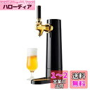 グリーンハウス スタンドビールサーバー 家庭用 乾電池 ビアサーバー 自宅 コンパクト 缶ビール GH-BEERO-BK ブラック