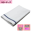 日本製 グラスタオル 綿100% 45×80 10枚入り プロ用 業務用 (青線)