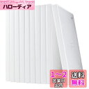 サンワダイレクト DVDケース 2枚収納 10枚セット DVD トールケース ホワイト 200-FCD033W