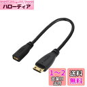 CY タイプD マイクロHDMI v1.4ソケット メス/タイプC ミニHDMI オス変換アダプターケーブル 10cm(2)