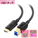 Cable Matters USB C B変換ケーブル 1m USB C USB B ケーブル USB 3.1 Gen 1 Type C USB 3.0 Type B 変換ケーブル ブラック