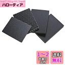 サンワサプライ ハードツールケース用ウレタン(BAG-HD1用) BAG-HD1-SP