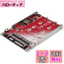 StarTech.com 2スロットM.2 - SATAアダプタ 2.5インチドライブベイ対応 RAID 2x M.2 NGFF SSDアダプタ SATA 3....