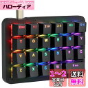 Koolertron 片手キーボード マクロキーボード ゲーミングキーボード メカニカルキーボード RGBバックライト カスタマイズ可能 左手デバイス 23キーフルプログラマブル ブラック 赤軸 ミニキーボード テンキー ショットカットキー 小型キーボード Type-C有線 ポータブル(2)