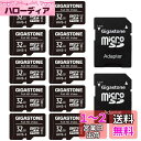 Gigastone マイクロSDカード 32 GB 10個セット SDアダプタ付き ミニ収納ケース付き SDHC U1 C10 90MB/S Class 10 ...
