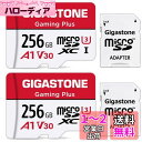Gigastone マイクロsdカード 256GB 2個セット, 2 SDアダプタ付き, 2 ミニ収納ケース付き, 4K UHD動画 100MB/S 高速 Mi...