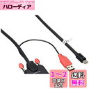 LINDY DVI-D - Mini DisplayPort変換ケーブル、USB給電ケーブル付、3m(型番:41998)