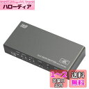 4K60Hz対応 2入力2出力 入力切替機能付 HDMI分配器(ダウンスケール対応) RS-HDSP22-4K