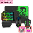 メカニカル式、専用コンバーター付き、片手キーボードマウスセット 、RGB ゲーミング キーボード マウス セット、 USB有線 、アダプター レインボーバックライト、5マルチメディアファンクションキー、ポータブルミニシングルゲーマーキーパッド、リストレスト付き、コ