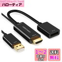 HDMI to DisplayPortアダプタ, CableCreation USB充電ポート付き4Kx2K@60Hz HDMI オス to DP メスアダプタ...