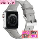 コンパチブル Apple Watch バンド 41mm 40mm 38mm、コンパチブルiWatch通用ベルト Apple Watch SE2 SE Series 9/8/7/6/5/4/3/2/1に対応 レザーシリコン一体型交換ストラップ (38mm 40mm 41mm、グレー)