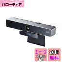サンワサプライ WEBカメラ 会議用ワイドレンズ 広角(水平90°・対角98°) 4K対応 850万画素CMOS アクティブノイズキャンセル機能マイク搭載 CMS-V52S