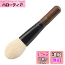 Haoge デジタル一眼レフカメラとミラーレスカメラレンズクリーナーブラシ ビニールレコード静電ブラシ LPスキャン SLRコンピューター画面ダストクリーニング...