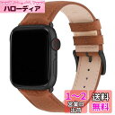 アップルウォッチ バンド Apple Watch バンド アップルウォッチベルト 本革 装着簡単 保護ケース付き レディース メンズ 1/2/3/4/5/6/7/8/9/SE/SE2/Ultra/Ultra2シリーズ対応(42mm 44mm 45mm、ブラウン+ガンメタルバックル)