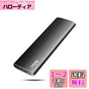 Netac 1TB ポータブルSSD 超小型外付け 最大550MB/s デスクトップストレージ 拡張 Type-C/Type-A 超薄型アルミケース/耐衝撃/静音/ブラック レザーケース付き 正規品3年保証