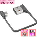 オーディオファン microUSB 短い ケーブル 両端子 L字 約12cm L字パターン4 ブラック AFSSLCBL(2)