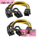 GPU VGA PCIe6ピンメスからデュアル2X8ピン(6 + 2)オス 2本セット PCI変換電源ケーブル ビデオグラフィックスカード パワーアダプタ 延長...