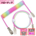 Twozoh USB Cメカニカルキーボードコイルケーブル、編組ダブルスリーブC型キーボード取り外し可能パイロットケーブル(レインボー) 適格請求書発行可