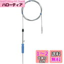 SANEI パイプクリーナー 長さ3m 排水管のつまり解消・掃除に 折れにくい2重巻構造 PR80B-3 シルバー 3メートル