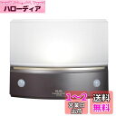 エルパ (ELPA) もてなしライト・据置(薄) LEDライト 間接照明 ナイトライト 電池式 ダークブラウン HLH-1203(DB)