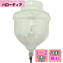 カリタ Kalita コーヒー 業務用水出し器 10人用 タンク(コック付) 水出しコーヒー器具 #45055 おしゃれ キャンプ アウトドア 喫茶店 アンティ...