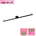 パナソニック(Panasonic) インテリアダクトスライド回転タイプLK04083BZ
