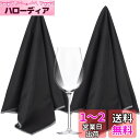 Sinland マイクロファイバー 雑巾 グラスクロス ガラス/食器拭き 用途多数 掃除用品 51CM X 64CM 2枚入ブラック