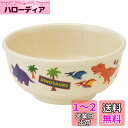 スケーター (skater) 茶碗 メラミン ライスボウル 240ml ディノサウルス M320-A