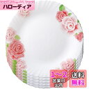 iwaki(イワキ) 耐熱ガラス 食器 耐熱皿 強化ガラス食器 ローズ柄 大皿 25cm ×5点セット 電子レンジ対応 B22222-RS